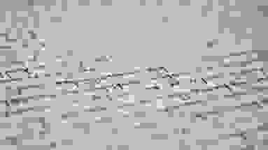 Tips For Effective Article Writing